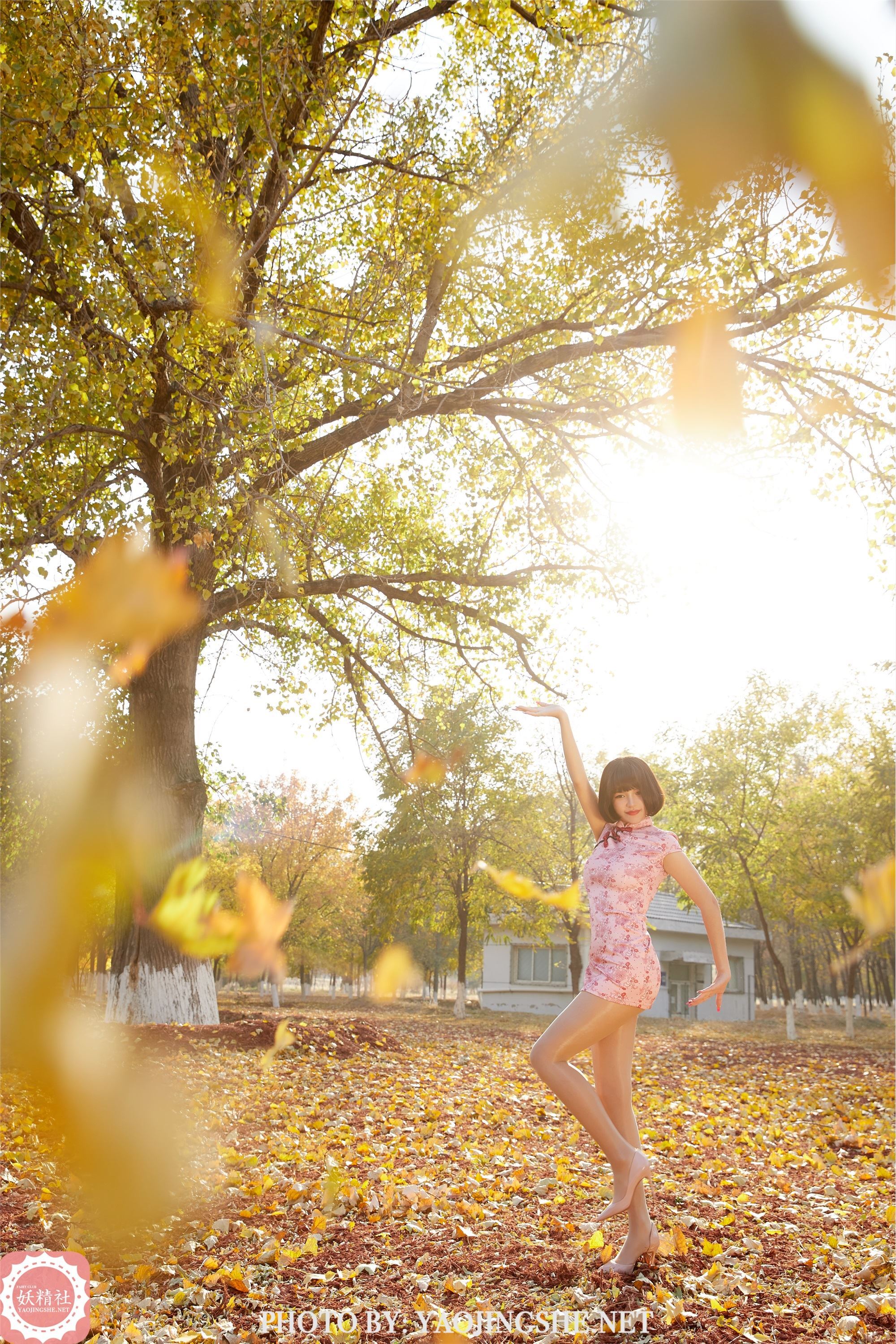 妖精社  2021.01.24 T2103《太极小宗师》唐飞飞